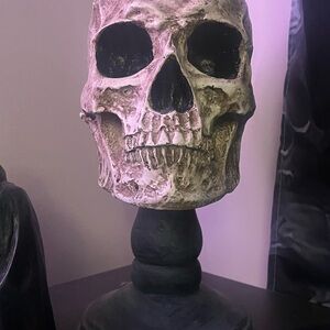 Skull 8” Tall just in time to decorate for Halloween!